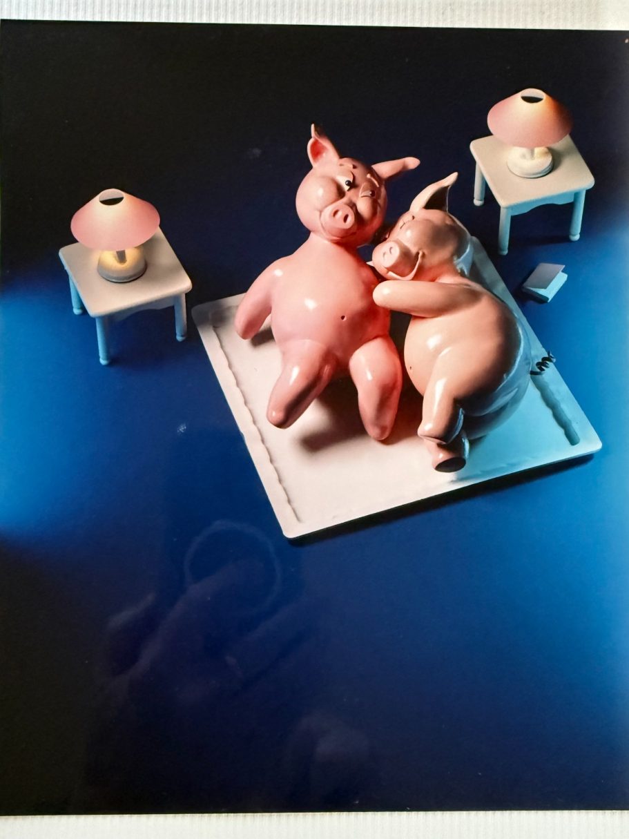 Les deux cochons au lit