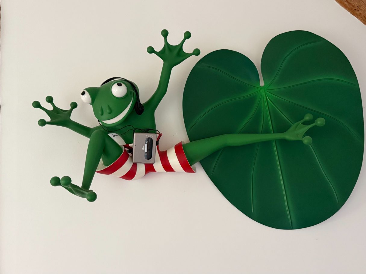 Grenouille et nénuphar